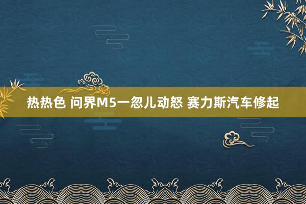热热色 问界M5一忽儿动怒 赛力斯汽车修起