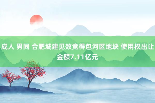 成人 男同 合肥城建见效竞得包河区地块 使用权出让金额7.11亿元