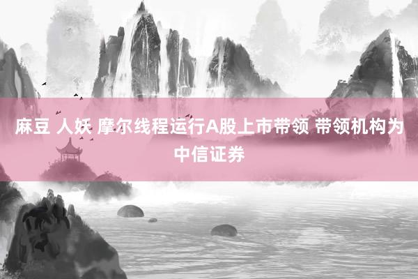 麻豆 人妖 摩尔线程运行A股上市带领 带领机构为中信证券