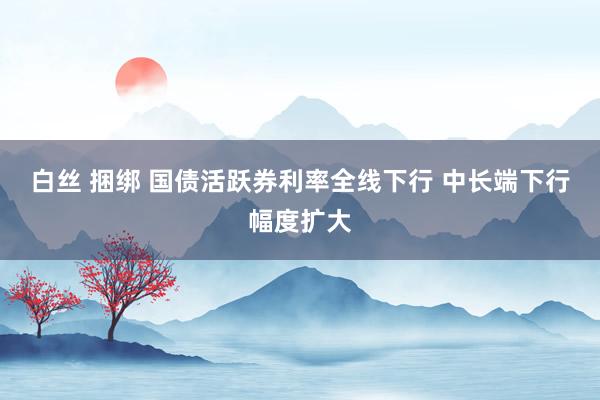 白丝 捆绑 国债活跃券利率全线下行 中长端下行幅度扩大