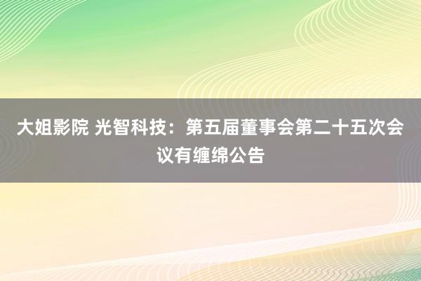 大姐影院 光智科技：第五届董事会第二十五次会议有缠绵公告