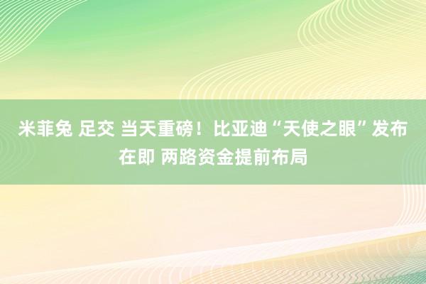 米菲兔 足交 当天重磅！比亚迪“天使之眼”发布在即 两路资金提前布局