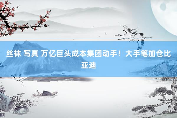 丝袜 写真 万亿巨头成本集团动手！大手笔加仓比亚迪