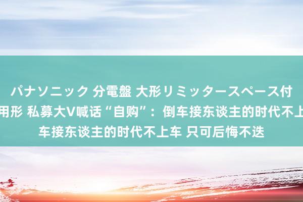 パナソニック 分電盤 大形リミッタースペース付 露出・半埋込両用形 私募大V喊话“自购”：倒车接东谈主的时代不上车 只可后悔不迭